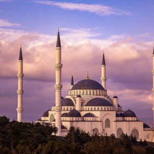 Túnez a todo lujo – Marzo Túnez a todo lujo – Marzo