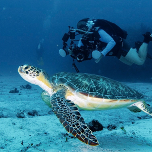 Las Bahamas