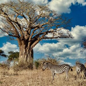 Sudáfrica Con Cataratas  Victoria – Septiembre