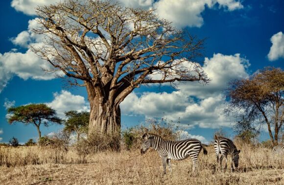 Sudáfrica Con Cataratas Victoria – Septiembre Sudáfrica Con Cataratas Victoria – Septiembre